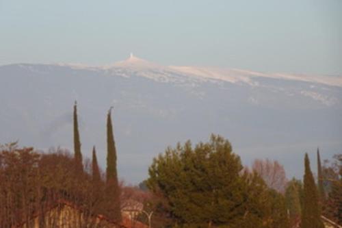 A proximité du Mont Ventoux - Location saisonnière - Carpentras