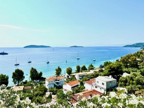 Villa Athena Skiathos