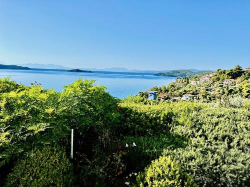 Villa Athena Skiathos