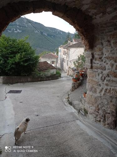Moliere in Aveze mazpilsēta