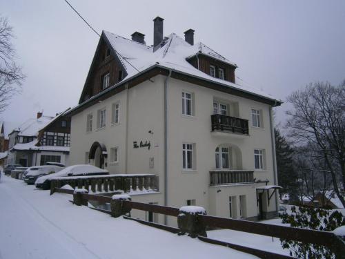 Willa Na Cichej - image 10