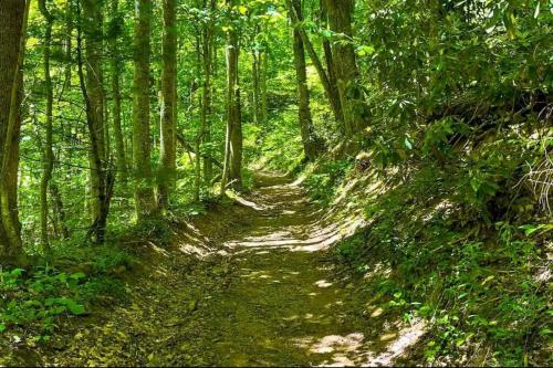 Nature's Paradise at 'The Reserve at Hot Springs'