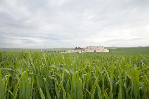 Tenuta Danesi & Bubble Rooms