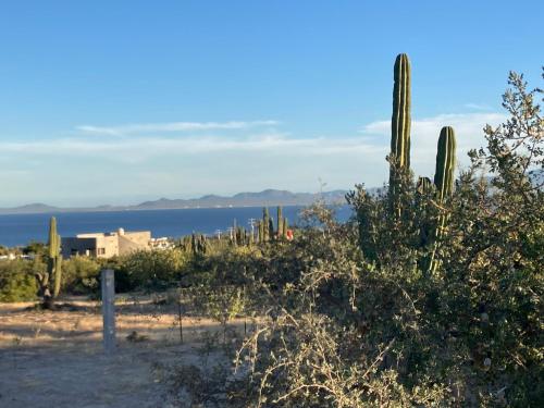 BCS Buena onda sea view bell tent in El Sargento, Mexico