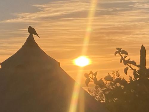 BCS Buena onda sea view bell tent in El Sargento, Mexico
