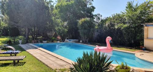 Villa de 2 chambres avec piscine privee jardin clos et wifi a Narbonne - Location, gîte - Narbonne