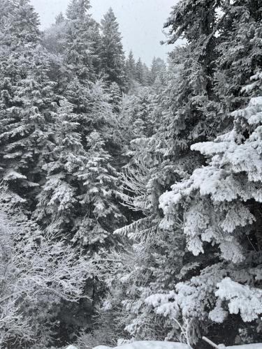 Gite à la ferme au coeur de l'Auvergne