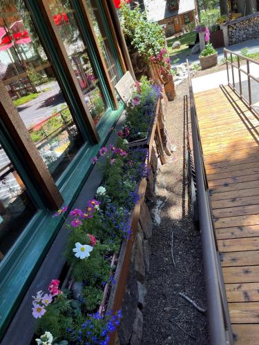Cottage Inn At Lake Tahoe - 정원