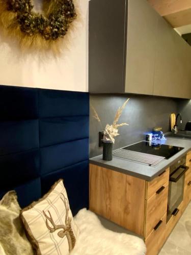 Konyha, OVIS HOMES APP in Stryszawa