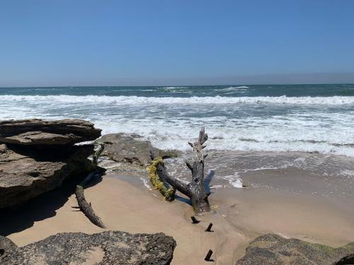 Strand, 41 on Essenhout in Boggomsbaai