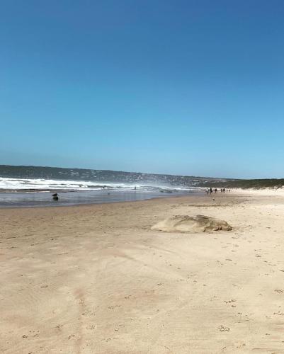 A környék, 41 on Essenhout in Boggomsbaai