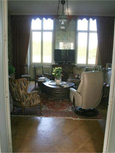 ห้องส่วนกลางสำหรับนั่งเล่น/ดูทีวี, Chateau du Clos Mortier in แซงต์ ดิซิเญ