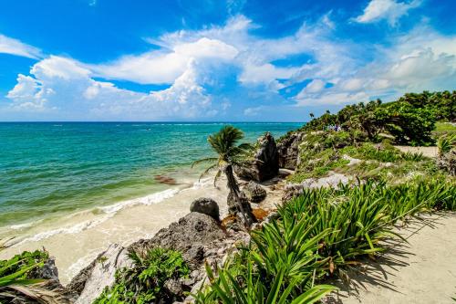 Blue Horizon @ TAO Edena 44 in Tulum, Mexico