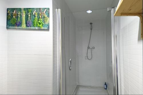 Flats Friends Tetuan - image 12