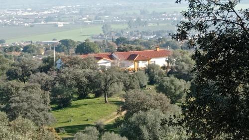 La Cabaña de la Cigarra