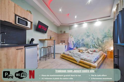 Tropicoon Room jacuzzi centre ville parking free - Location saisonnière - Mulhouse