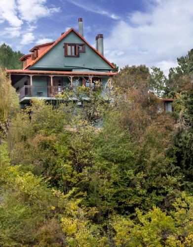 Guesthouse Italiano - image 14