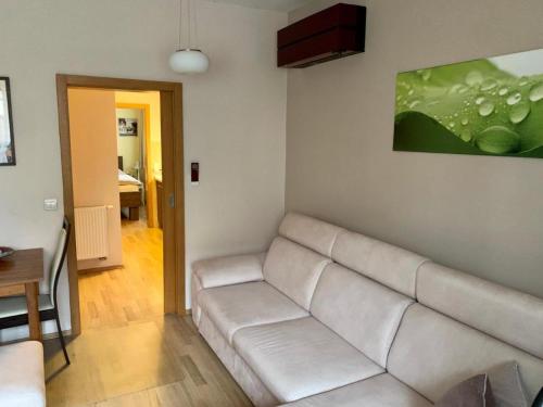 Large Single Room