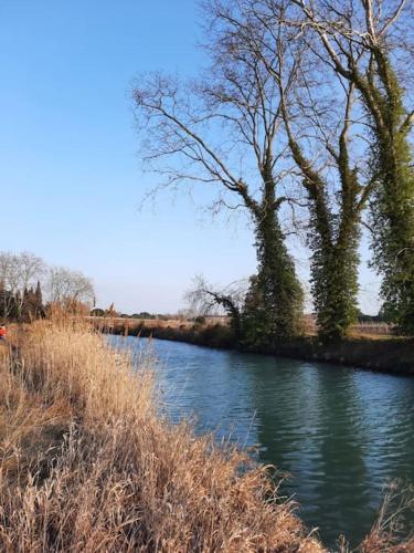 Maison/Parking Privé/Piscine/Wifi/Canal du midi