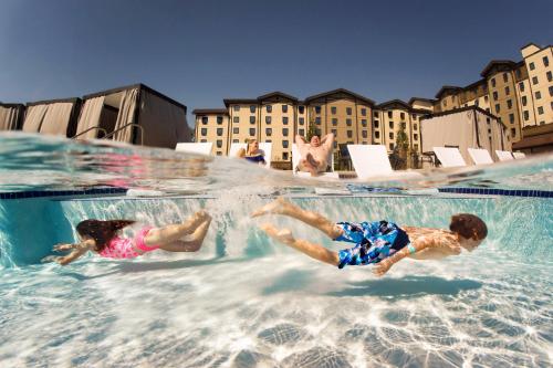 Great Wolf Lodge Grapevine - image 8