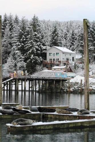 Juneau Oceanfront Home Overlooking Auke Bay