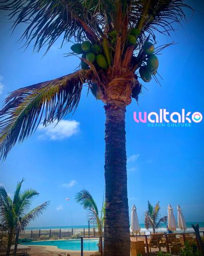 Waltako Beach Town in Canoas De Punta Sal