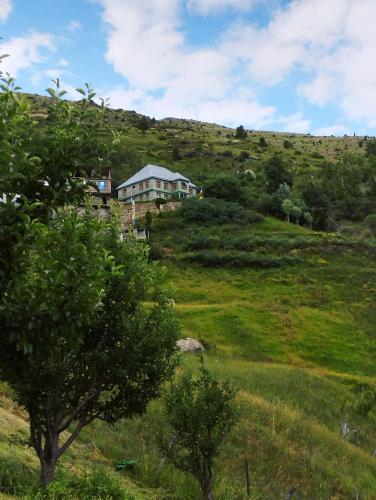 B&B Tāndi - Himalayan lab homestay - Bed and Breakfast Tāndi