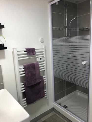 Zuhanyzó, La Charmille - Côté Cour (La Charmille - Cote Cour) in Saint-Fulgent