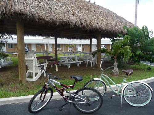 運動及活動, Everglades City Motel - Everglades Adventures Inn in 大沼澤地市 (FL)