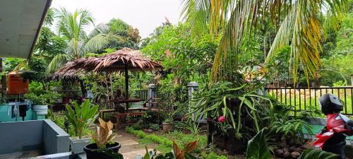 Raja Ampat Sandy Guesthouse