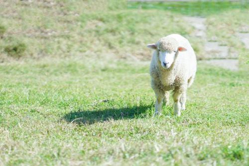 舞鶴ふるるファームコテージ