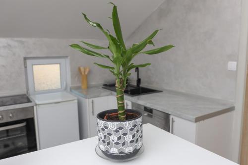 Two-Bedroom Apartment image 8