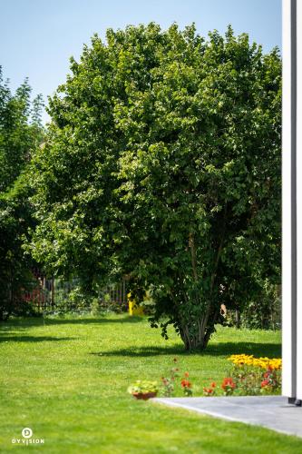 Zarębisko - noclegi całoroczne Zarębisko - noclegi całoroczne