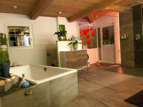 Ferienwohnung mit Luxusbad, Terrasse Ostseenähe (Ferienwohnung mit Luxusbad, Terrasse Ostseenahe) in Gremersdorf