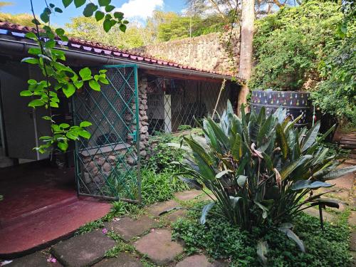 Mad Vervet Nairobi Backpackers Hostel – Nairobi, WV