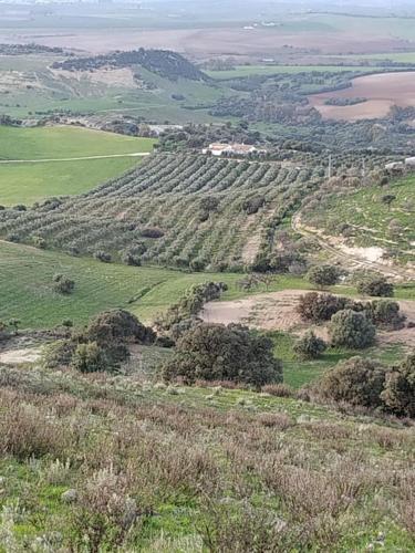 Casa Rural en Montellano (53km de Sevilla)