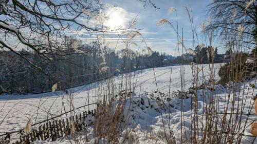 Gartenblick