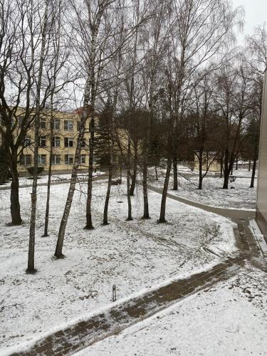 Marijos apartamentai Marijos apartamentai