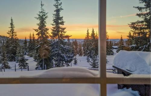 Skats, Beautiful Home In Sjusjøen With Sauna in Sjusjoen