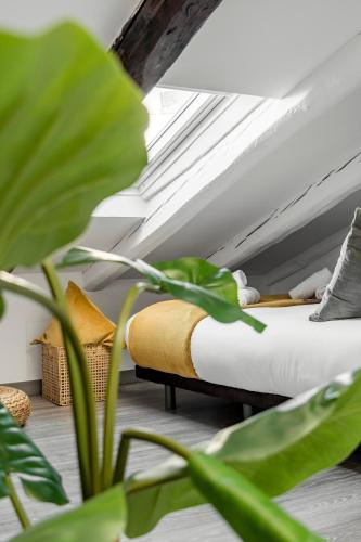 Charming Cozy Lavapies