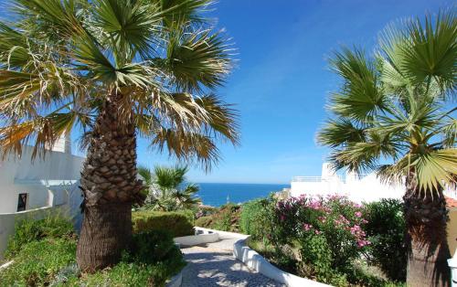 สวน, Luxury Apartment in คาวีโร