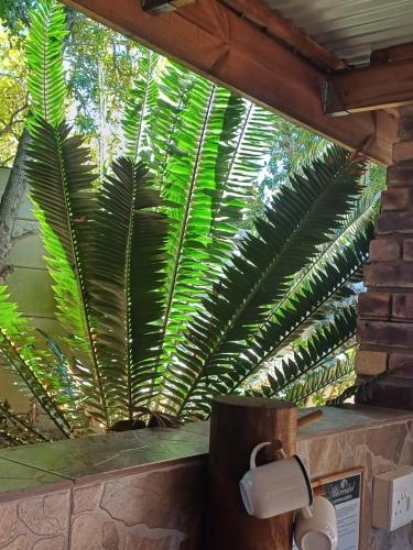 Alikreukel Accommodation