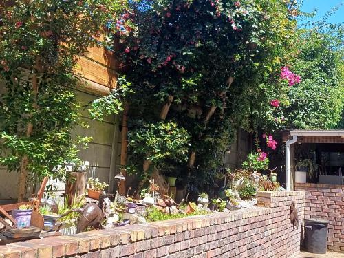 Alikreukel Accommodation