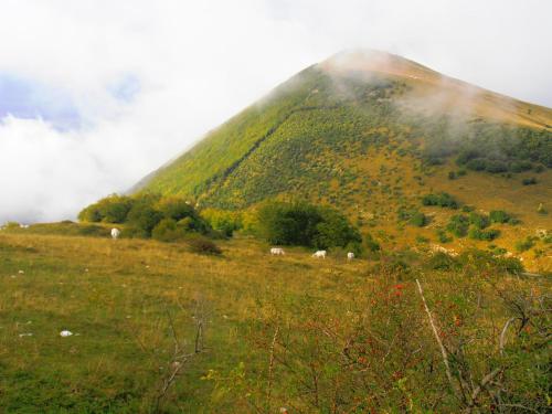 Villa Colticciola Agriturismo Marche