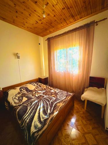 Chalkidiki rent house