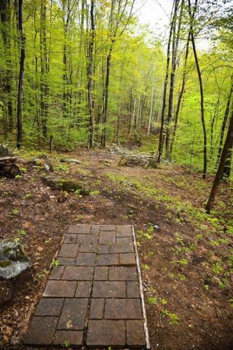 Treehouse in Maine woods- The Grand Oak thumb 4