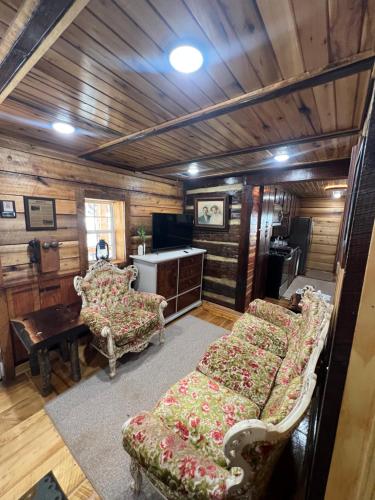 Jewel Branch Cabin in Erwin, USA