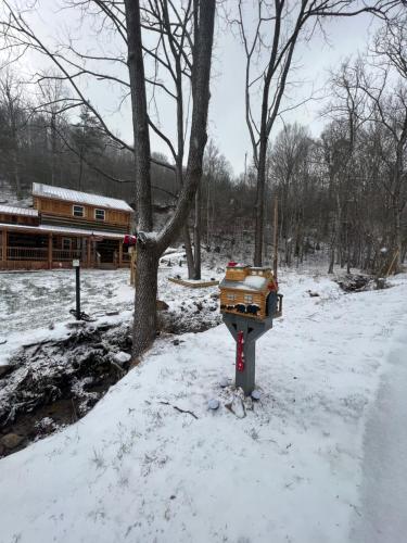 Jewel Branch Cabin in Erwin, USA