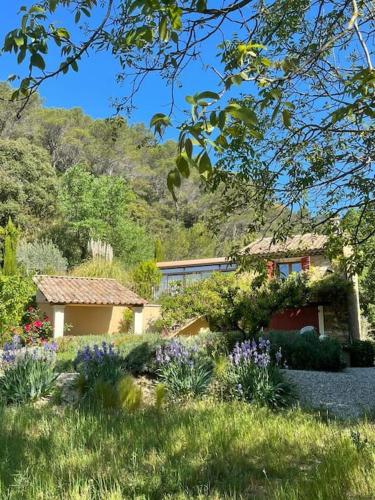 Maison Provençale avec piscine en bord de ruisseau - Location saisonnière - Lafare