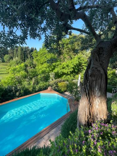 Amore a prima vista b&b 1